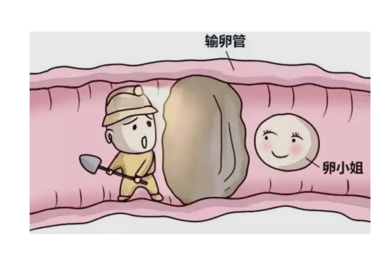 苏州借腹供卵试管生子指南,苏州试管代生价格明细